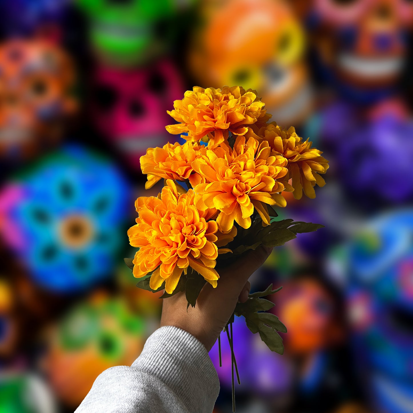 Bunch of yellow marigold/cempasúchil from side view