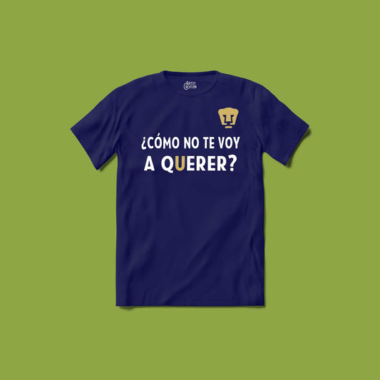 Como no te voy a querer?