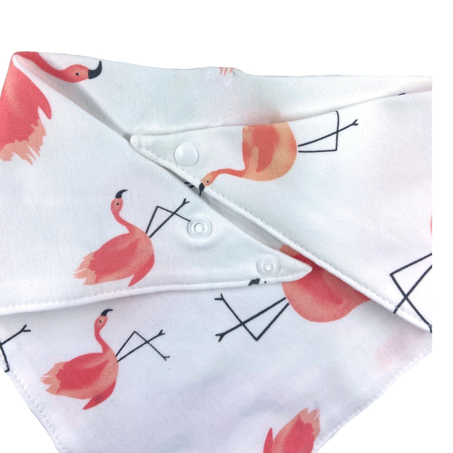 Flamingos