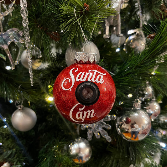 Personalized Santa Cam