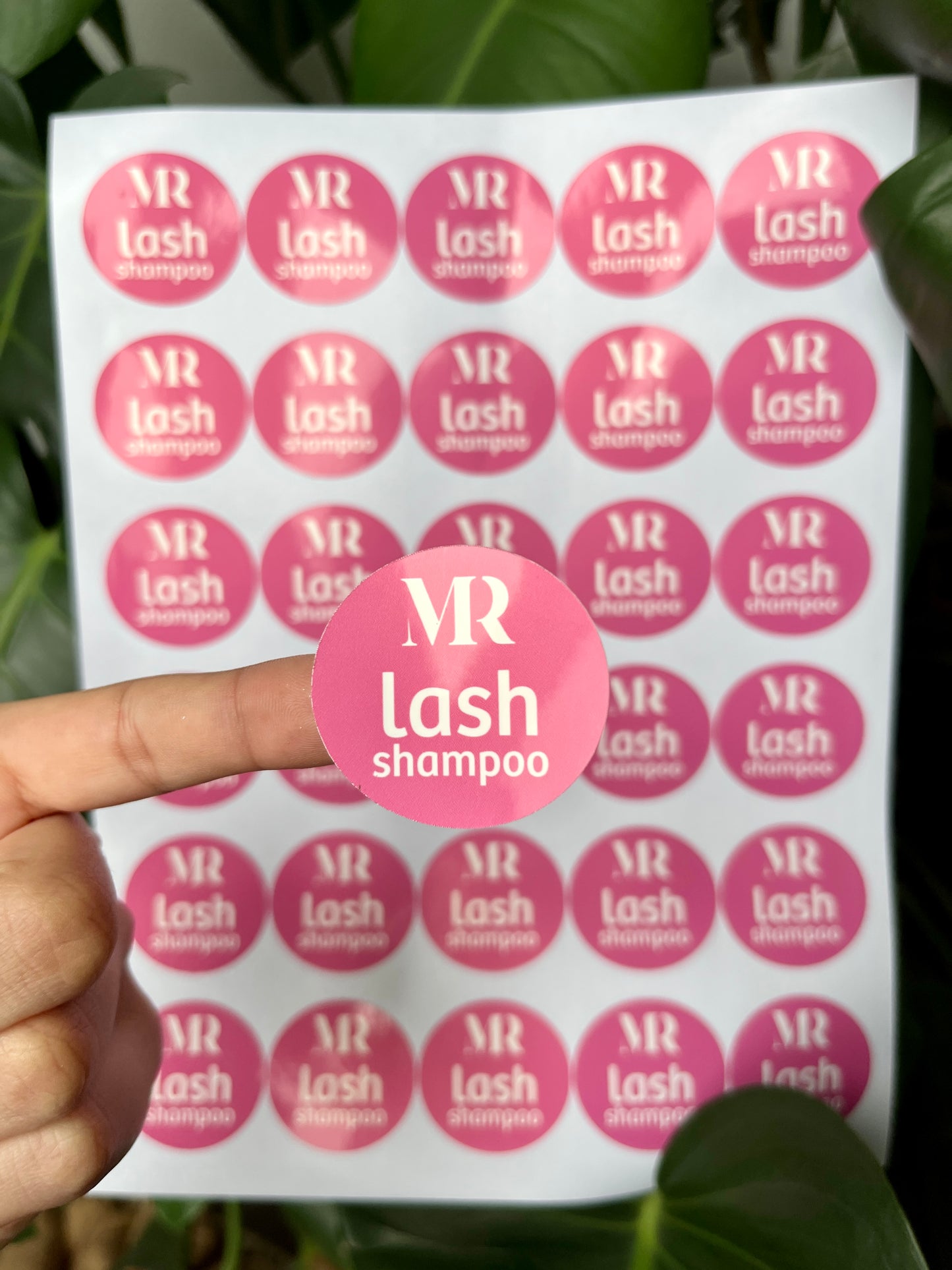 Sheet of pink 'MR lash shampoo' stickers held by a hand with green leaves in the background
